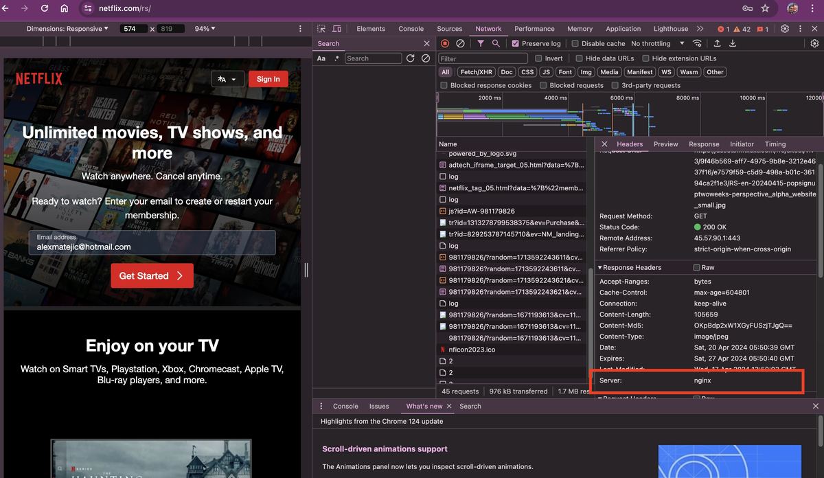 netfllix web server nginx